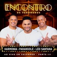 Encontro De Fenômenos (Ao Vivo / Pt. III)