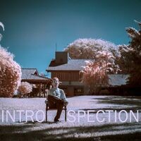 Intro Spection