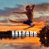 Seepark (Ronnie Hamada Remix)