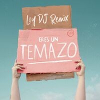 Eres un Temazo (Ley DJ Remix)