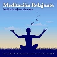 Meditación Relajante: Sonidos de pájaros y bosques, música tranquila para la meditación, atención plena, concentración, concentrac