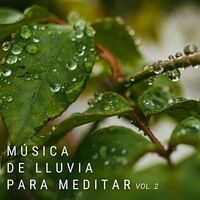 Canciones De Lluvia Para Meditar Vol. 2