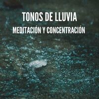 Tonos de Lluvia: Meditación y Concentración
