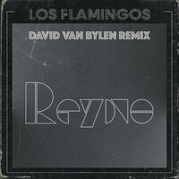 Reyno (David Van Bylen Remix)
