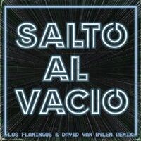 Salto al Vacío (David Van Bylen Remix)