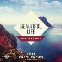 Beautiful Life (Remixes Part 2)