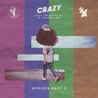 Crazy (Remixes - Pt.2)