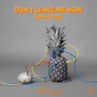 Don't Leave Me Now (Remix Pack)