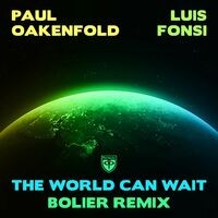 The World Can Wait (Bolier Remix)