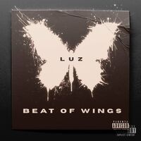 Beat Of Wings