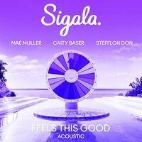 Feels This Good (feat. Stefflon Don) (Acoustic)