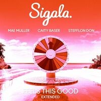 Feels This Good (feat. Stefflon Don) (Extended)