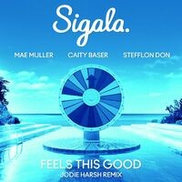 Feels This Good (feat. Stefflon Don) (Jodie Harsh Remix)