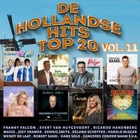 De Hollandse Hits Top 20 vol. 11