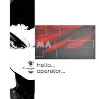 Hello... Operator...