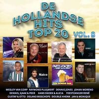 Hollandse Hits Top 20 vol. 8