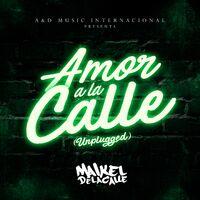 Amor a la Calle (Unplugged)