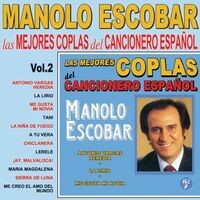Las Mejores Coplas del Cancionero Español, Vol.2