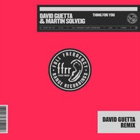 Thing For You (David Guetta Remix) (Extended)