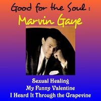 Good for the Soul: Marvin Gaye