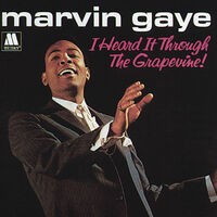 I Heard It Through The Grapevine / In The Groove