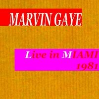 Live in Miami 1981
