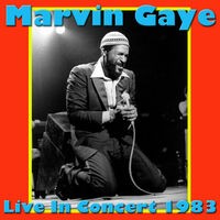 Marvin Gaye- Live In Concert 1983