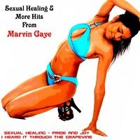 Sexual Healing & More Hits from Marvin Gaye
