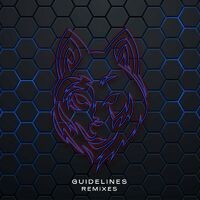 Guidelines (Remixes)