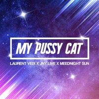 My Pussy Cat (Radio Edit French Quota)