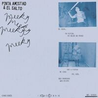 Pinta Amistad / El Salto