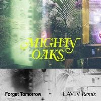 Forget Tomorrow (LAVIV Remix)