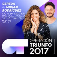 Estoy Hecho De Pedacitos De Ti (Operación Triunfo 2017)