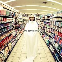 The Perfect Life (Remixes)