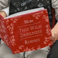 This Wild Darkness Remixes
