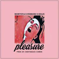 Pleasure (feat. Helix & Ferrori)