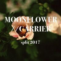 Moonflower / Carrier