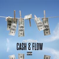 Cash y Flow
