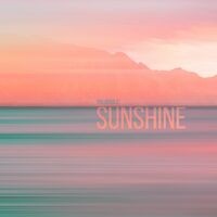 Sunshine (feat. PalmiPunk)
