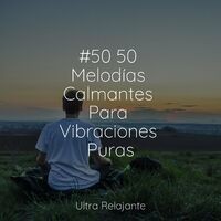 #50 50 Melodías Calmantes Para Vibraciones Puras