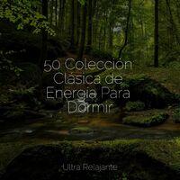 50 Colección Clásica de Energía Para Dormir