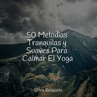 50 Melodías Tranquilas y Suaves Para Calmar El Yoga
