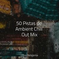 50 Pistas de Ambient Chill Out Mix