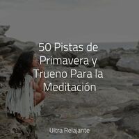 50 Pistas de Primavera y Trueno Para la Meditación