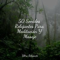 50 Sonidos Relajantes Para Meditación Y Masaje