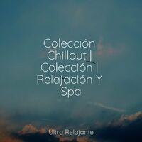 Colección Chillout | Colección | Relajación Y Spa