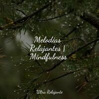 Melodías Relajantes | Mindfulness