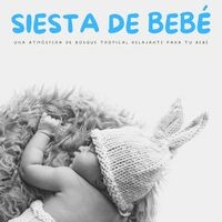 Siesta De Bebé: Una Atmósfera De Bosque Tropical Relajante Para Tu Bebé