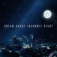 Dream About Tranquil Night: New Age for Sleep, Relaxing & Calming Sounds, Stress Relief