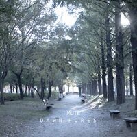 Dawn Forest 